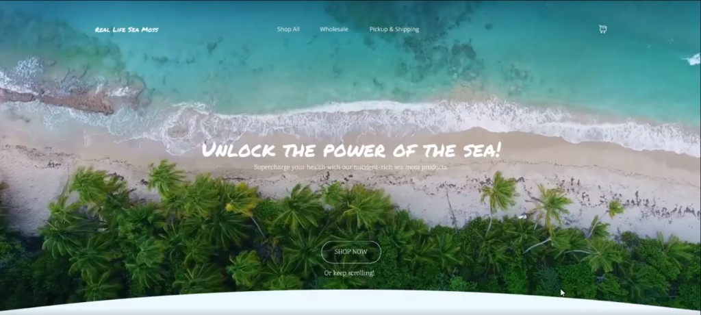 Real Life Sea Moss — Health Store — preview